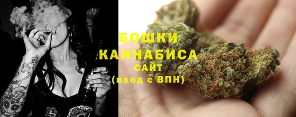 метадон Инсар