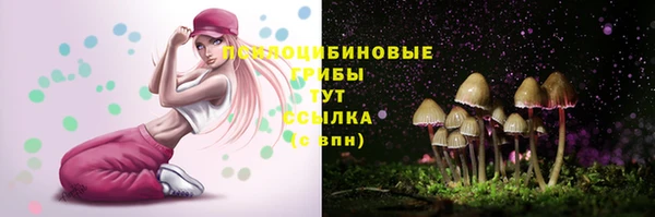 метадон Инсар