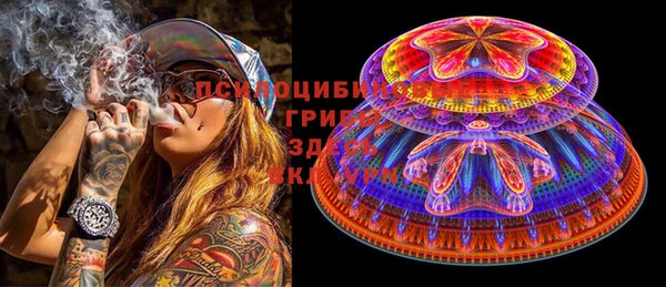 метадон Инсар