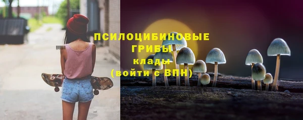 метадон Инсар