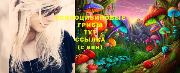 каннабис Инта