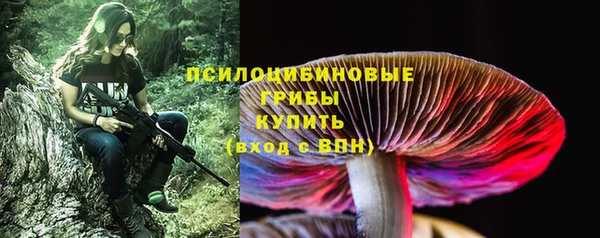 метадон Инсар
