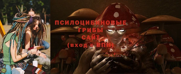 метадон Инсар